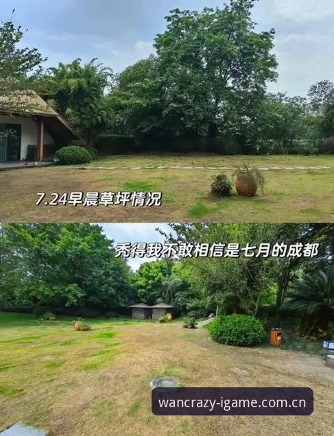 CN爱游戏官方中国区赛事数据功能详解 草坪翻车实用避坑指南:从美国世界杯场地争议看比赛节奏管控